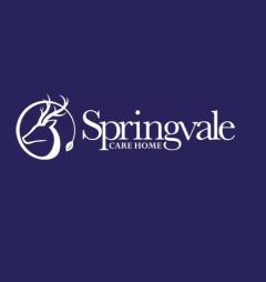 Springvale Care Home