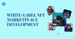 White Label Nft Platform Development