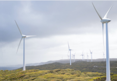Renewable Energy Farm Wind Farm