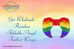 Get Wholesale Rainbow Foldable Angel Feather Win
