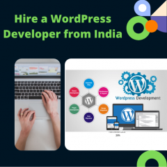 Hire The Professional Wordpress Developer