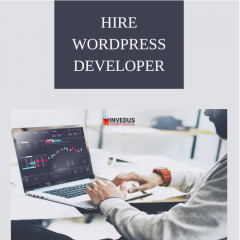 Hire Professional Wordpress Developers & Save Up