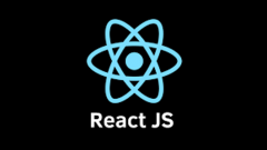Reactjs Development Company