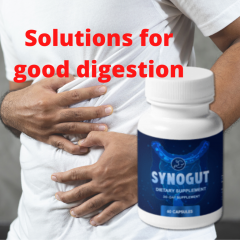 Synogut For Better Digestion