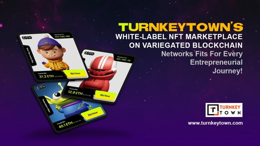 We Specialize Developing Custom NFT Marketplace with White Label NFT 2 Image