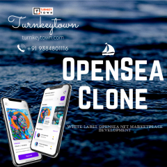 Seize Your Opensea Clone Right Away With An Affo