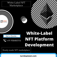 Grab Your White-Label Nft Marketplace Solution A