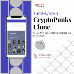 Elevate Your Nft Business With Cryptopunks Clone