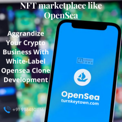 Be The Creators Choice Nft Platform With Your Op