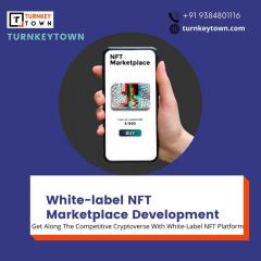 Venture With A White-Label Nft Platform To Gain 