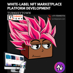 White-Label Nft Platform  White-Label Nft Market