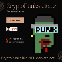 Launch Cryptopunks Like Nft Marketplace To Be A 
