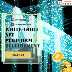 Get Gleaming Profit With Our White Label Nft Mar