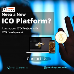 Raise Instantaneous Funds With Ico Development C