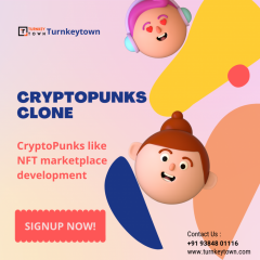 White-Label Cryptopunks Clone  - Nft Marketplace