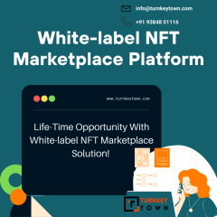 Delegate White-Label Nft Marketplace Development
