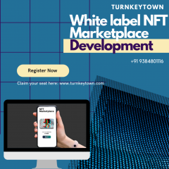 Streamline Your Nft Industry With White Label Nf