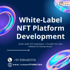 Get Going With Your White Label Nft Marketplace 