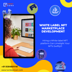 White-Label Nft Marketplace Platform Development