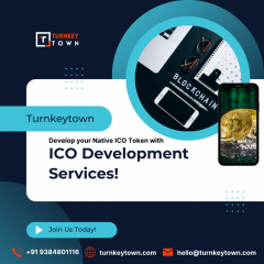Develop Your Ico Tokens With Ico Development Com
