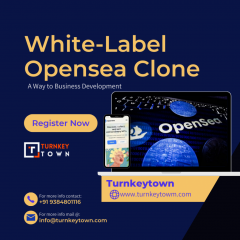 White-Label Opensea Clone - A Way To Business De