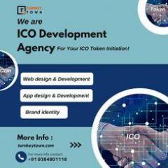 Ico Launch Services - Grab Your Native Ico Token