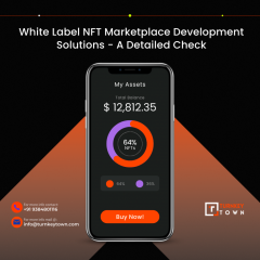 The Best White-Label Nft Marketplace Platform To