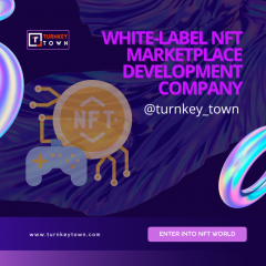 White-Label Nft Marketplace The Quickest Solutio
