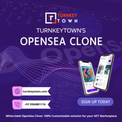 Get Your Opensea Clone On Erc 721 From Turnkeyto