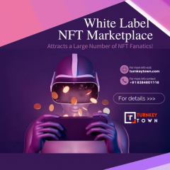 Nfts For Everyone - White-Label Nft Marketplace