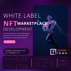 Build Nft Marketplace With Our White Label Nft M