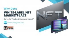 White-Label Nft Marketplace Solution  Turnkeytow