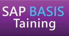 Sap Basis Training