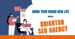 Contact Brighton Seo Agency To Bring Your Brand 