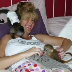 Capuchin Monkeys For Sale ..Whatsapp447418365732