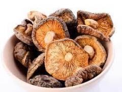 Dried Mushroom Are Available
