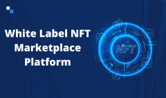 Build Your Own White Label Nft Marketplace Platf