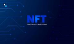 Impeccable Nft Token Development Services By Ant