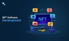 World-Class Nft Software Development Company  An
