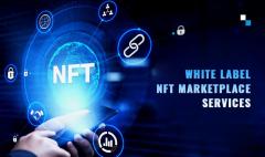 Elevate Your Brand With Ai- White Label Nft Mark