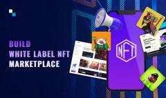 Build White Label Nft Marketplace With Multi-Cha