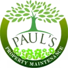 Tree Removal Limerick Safe & Efficient Service