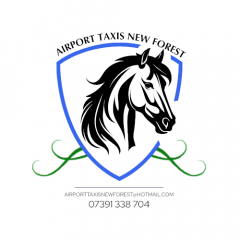 New Forest Airport Transfers Punctual, Professio