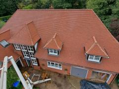 Expert Moss Removal Canterbury Protect Your Roof