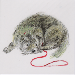 Special Occasion Cards Greater London Perfect Fo