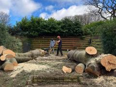 Tree Removal Leeds, Roundhay - Tree Doctors York