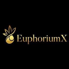 Buy Best Cbd Oils And Cbd Vapes From Euphoriumx