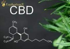 Buy Cbd Oil From The Uks Most Trusted Supplier I