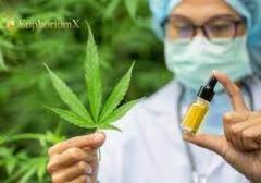 Find The Best Full Spectrum Cbd Oil For You At E
