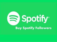 Buy Spotify Followers With Fast Delivery